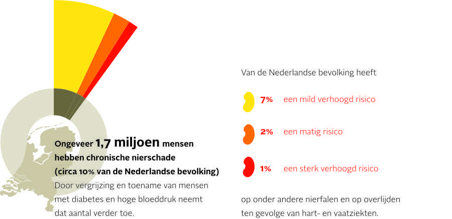 Afbeelding chronische nierschade