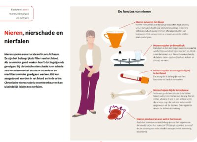 Factsheet Nieren, nierschade en nierfalen Factsheet Nieren, nierschade en nierfalen