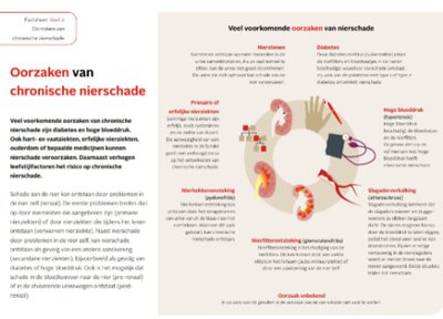 Factsheet Oorzaken van chronische nierschade Factsheet Oorzaken van chronische nierschade