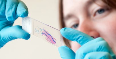 Je ziet iemand aan het werk in een laboratorium