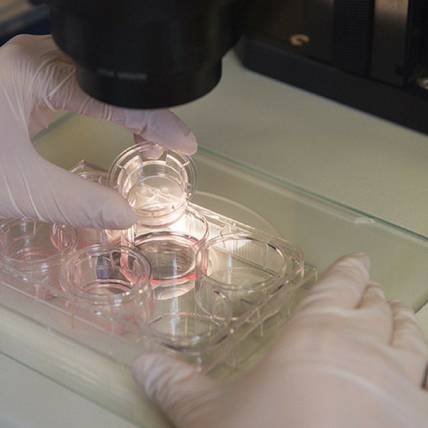 Je ziet iemand in een laboratorium aan het werk